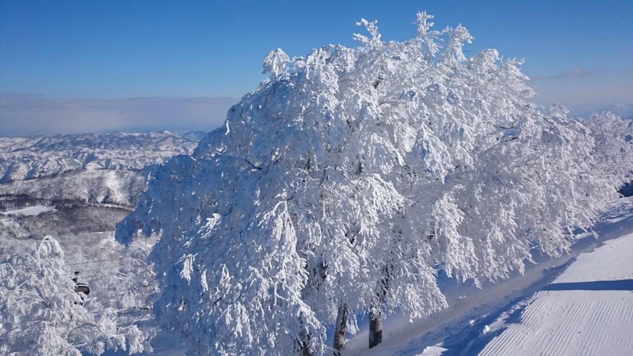 Nozawa Dream Central Экстерьер фото