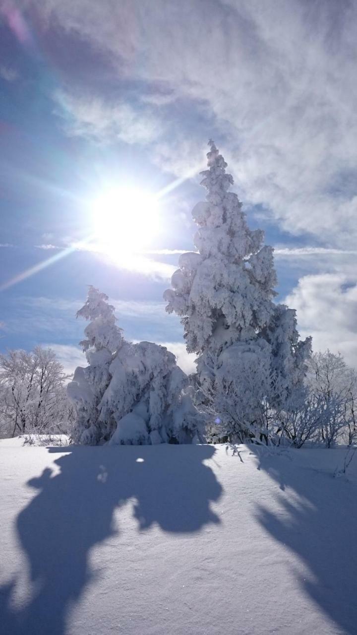 Nozawa Dream Central Экстерьер фото